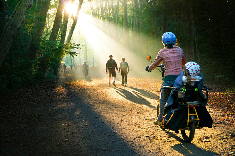 CIRCUIT 3 : LE MONT VENTOUX
